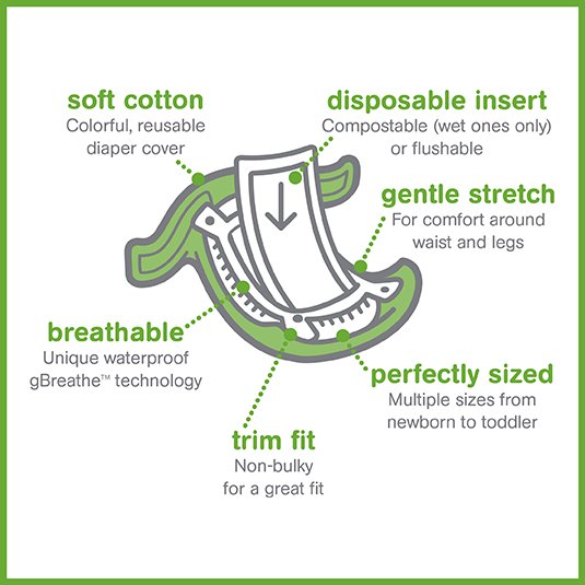 gPants Anatomy
