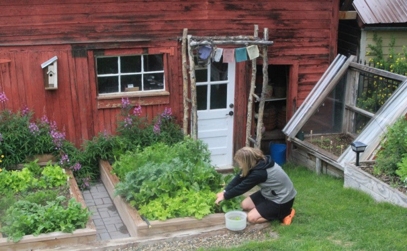 On location with Carrie and Cooper: Composting at 10,000 feet.